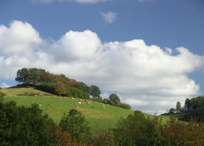 In Wehrstapel 梅舍德