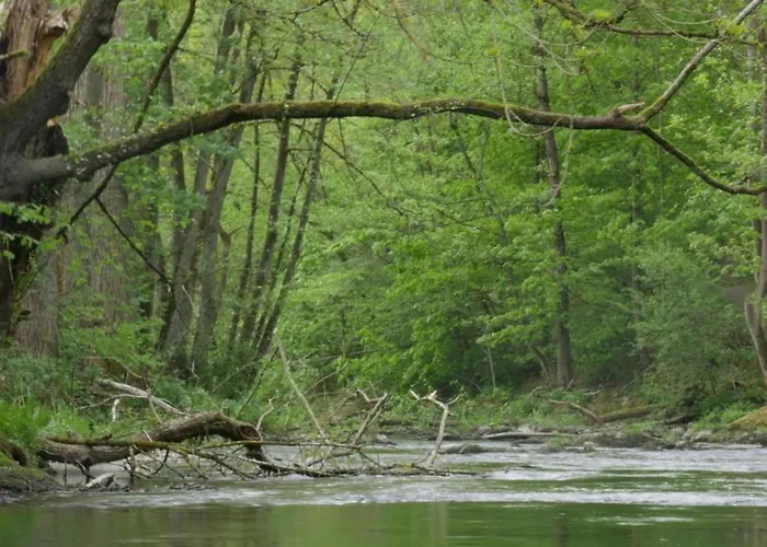 In Wehrstapel 公寓 *